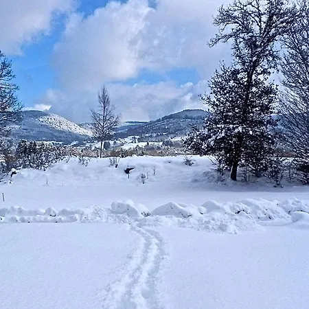 Chalet Avec Jacuzzi Et Piscine, Déco Soignée Esprit Cocooning Ramonchamp