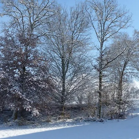 Avec Jacuzzi Et Piscine, Déco Soignée Esprit Cocooning *