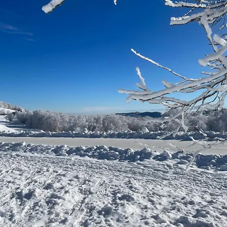 Avec Jacuzzi Et Piscine, Déco Soignée Esprit Cocooning * Ramonchamp