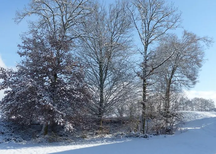 Avec Jacuzzi Et Piscine, Deco Soignee Esprit Cocooning *