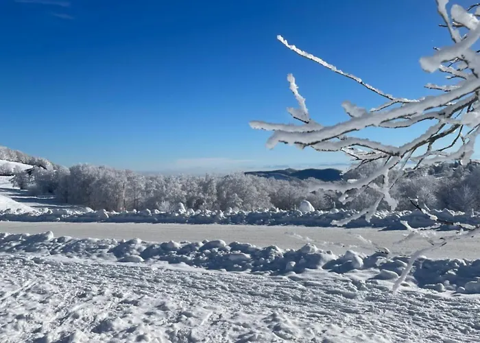 Avec Jacuzzi Et Piscine, Deco Soignee Esprit Cocooning * Ramonchamp